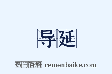 导延是什么意思的图片